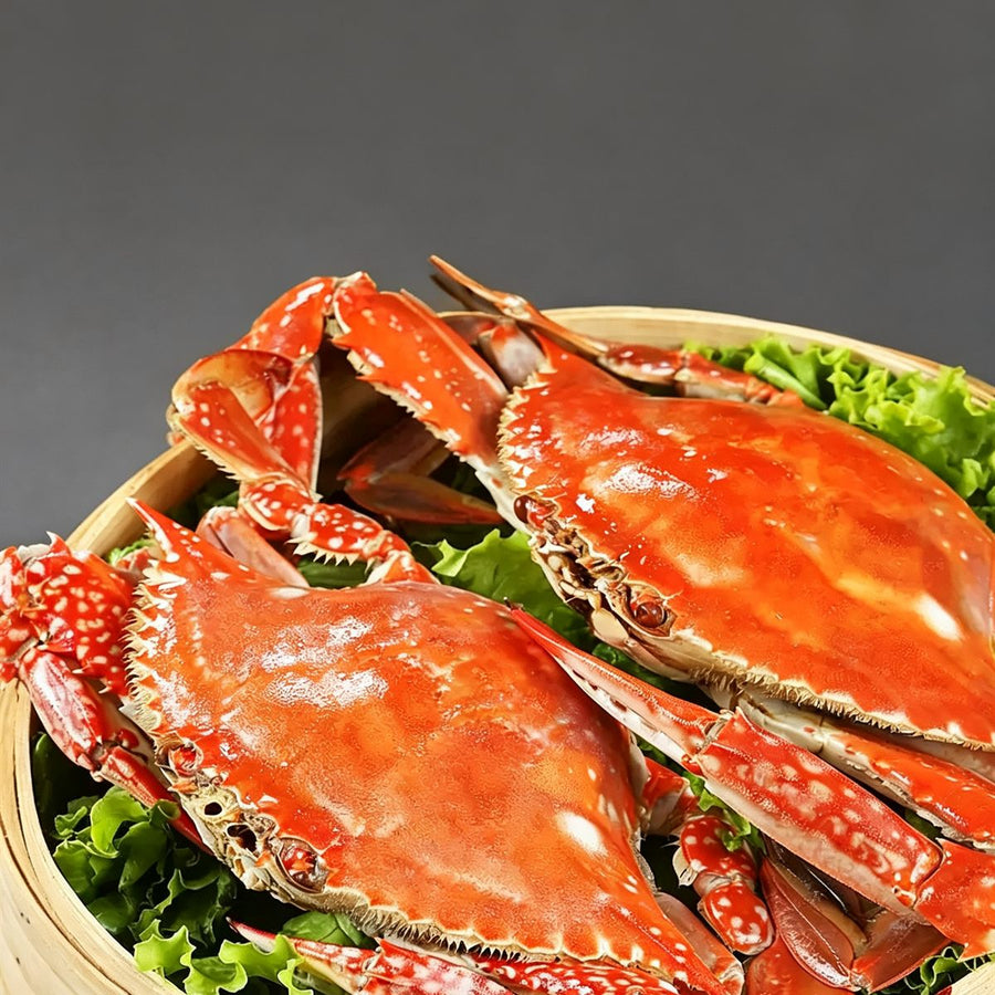 Frozen Raw Giant Swimming Crab